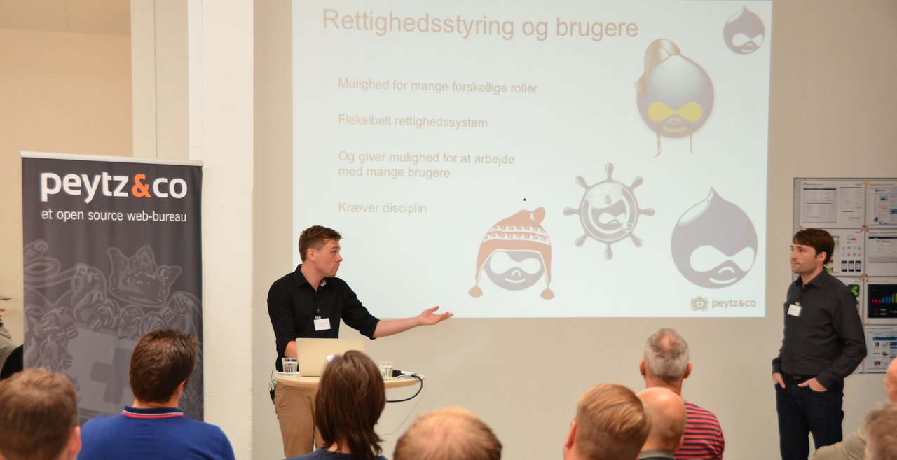 Billede tilhørende: Valg af platform: WordPress eller Drupal?